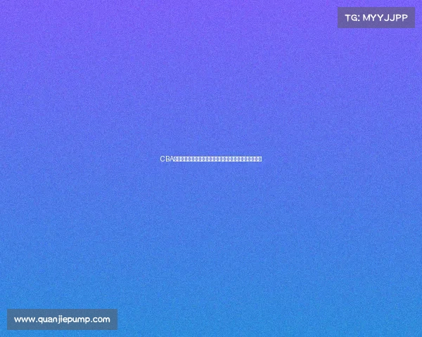 CBA品牌崛起:探析中国篮球联赛背后的商业价值与发展潜力 CBA品牌崛起:探析中国篮球联赛背后的商业价值与发展潜力